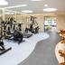 Palestra