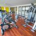 Palestra