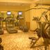 Palestra