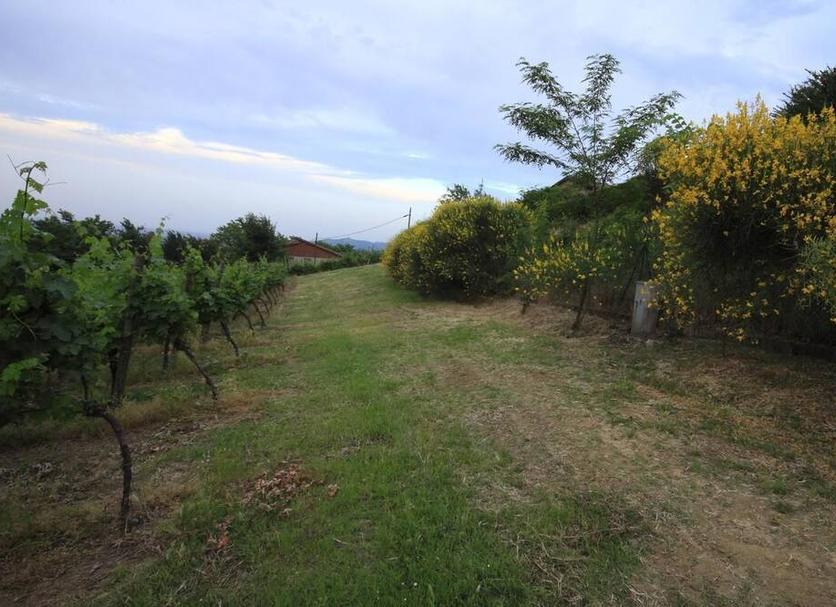 Vista esterna Foto