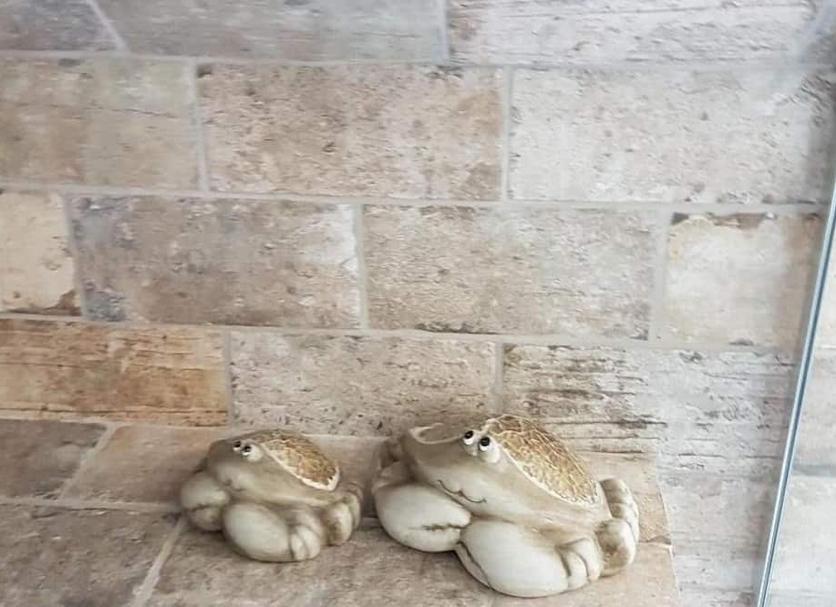 Altro Foto