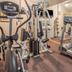Palestra