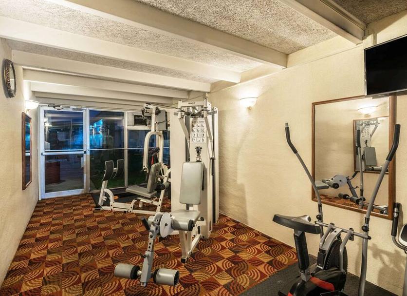 Palestra Foto