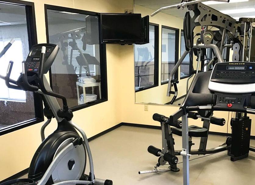 Palestra Foto