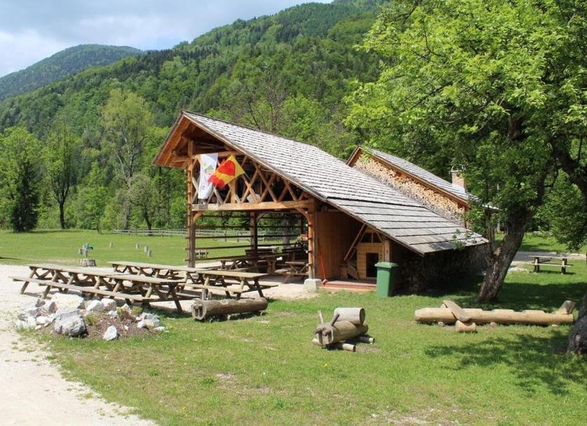 Altro Foto
