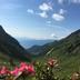 Vista esterna