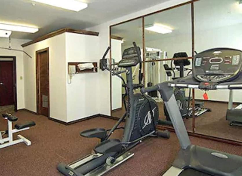 Palestra Foto
