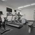 Palestra