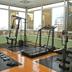 Palestra