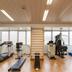 Palestra