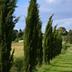 Vista esterna