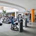 Palestra