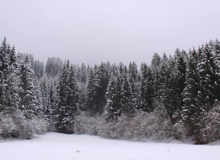 Vista esterna Foto