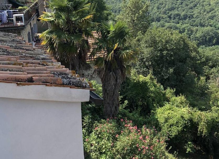 Vista esterna Foto