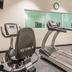 Palestra