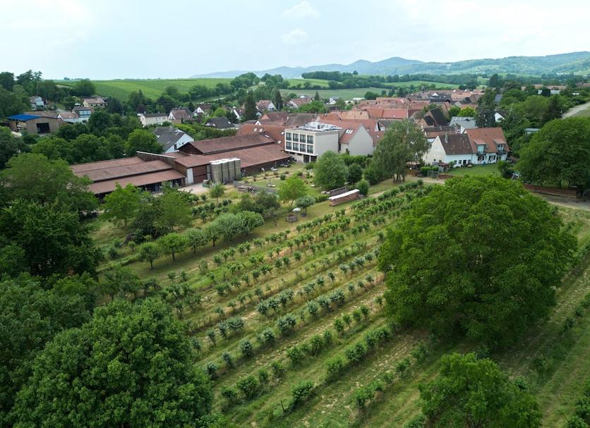 Vista esterna Foto