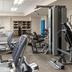 Palestra