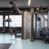 Palestra