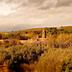 Vista esterna