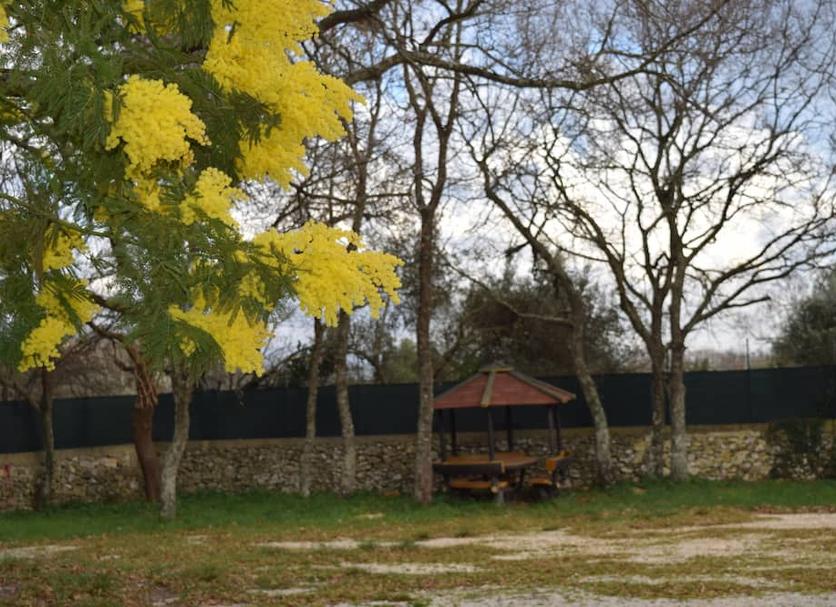 Vista esterna Foto