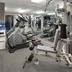 Palestra