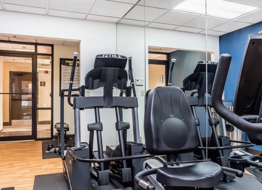 Palestra Foto