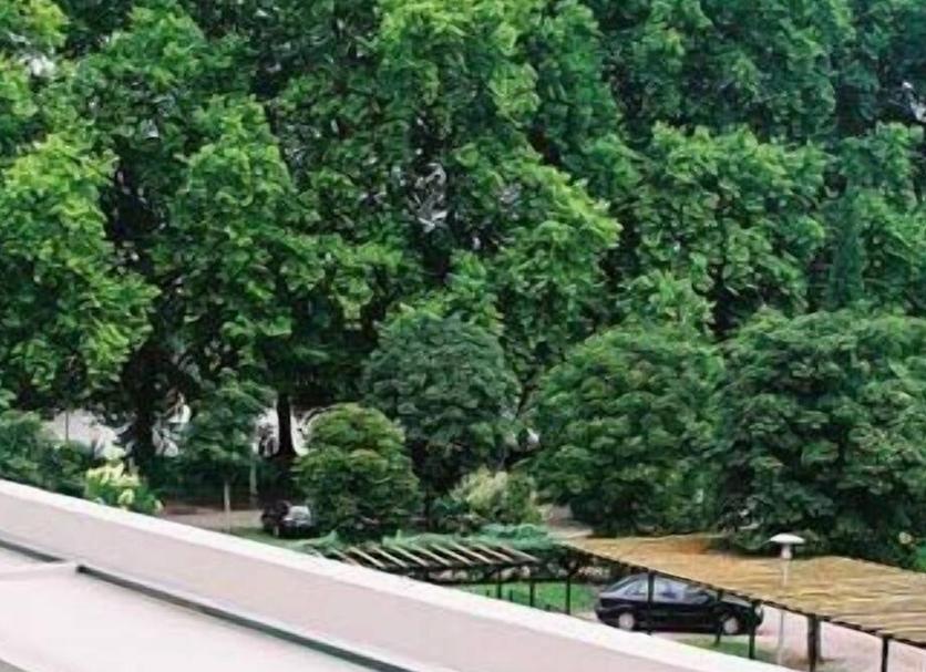 Vista esterna Foto