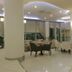 Ingresso