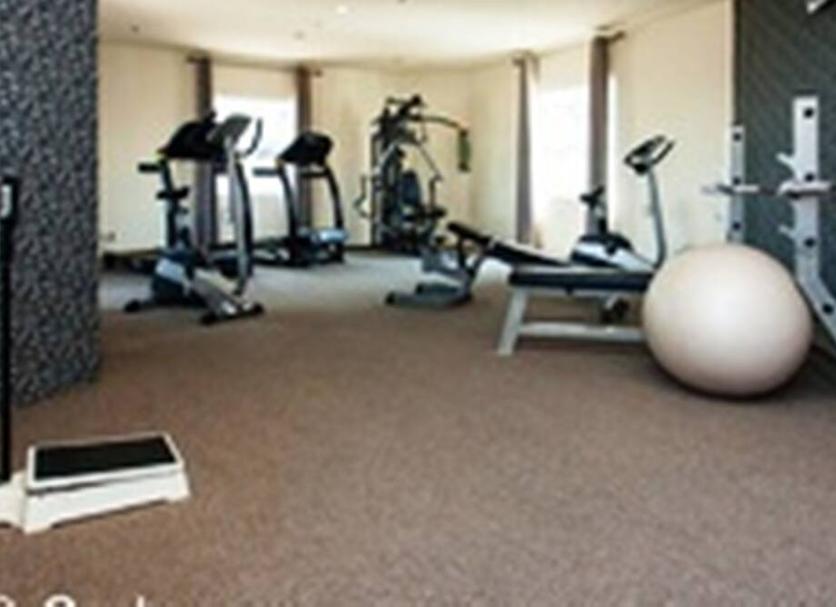 Palestra Foto