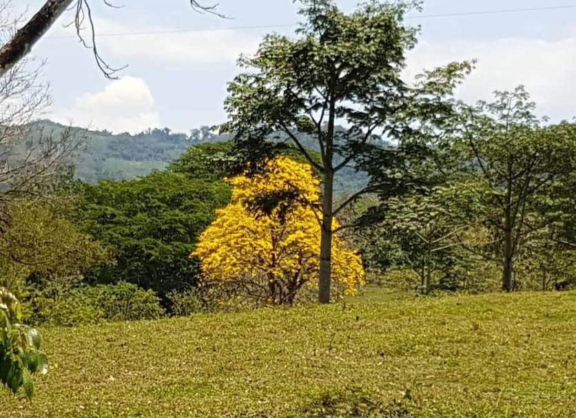 Vista esterna Foto