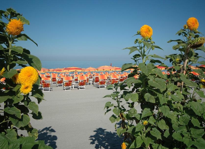 Spiaggia Foto