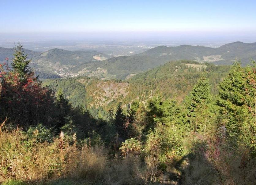 Vista esterna Foto