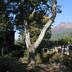 Vista esterna