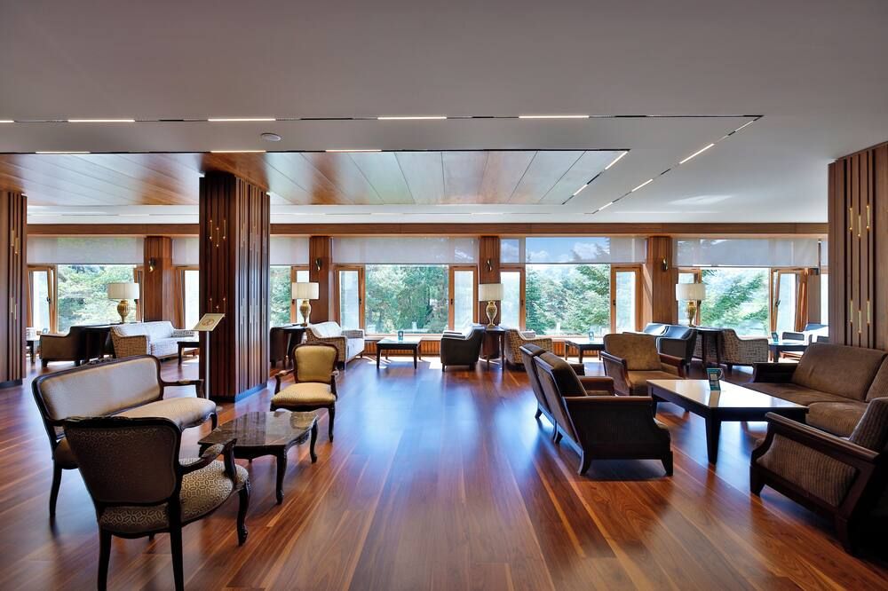Area lounge