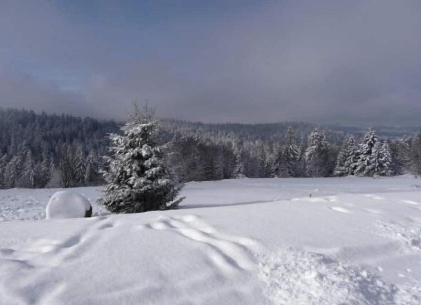 Vista esterna Foto