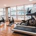 Palestra