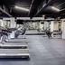 Palestra