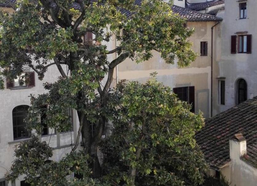 Vista esterna Foto
