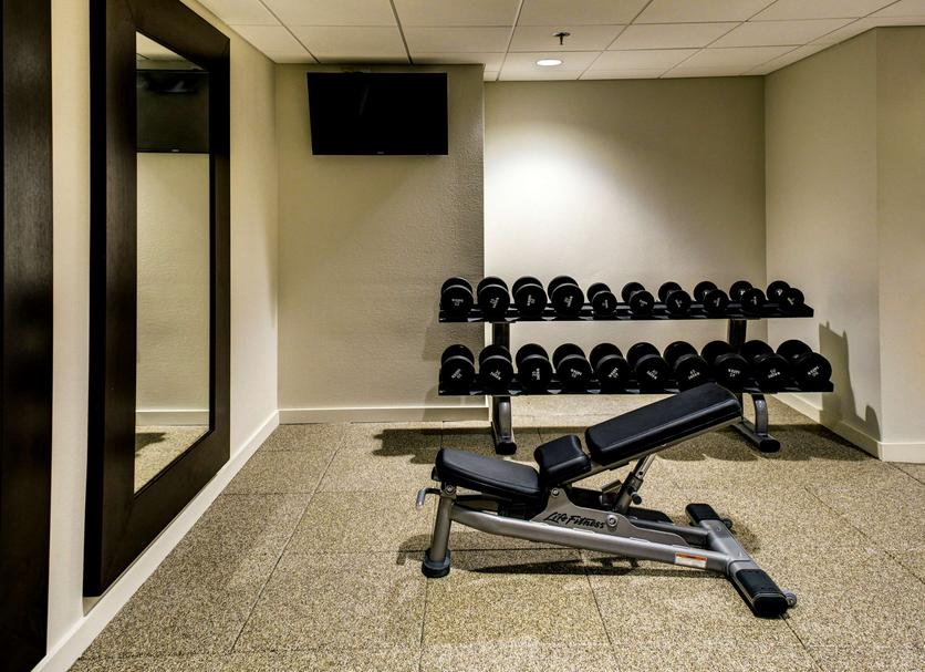 Palestra Foto