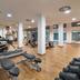 Palestra
