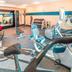 Palestra