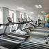 Palestra
