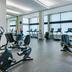 Palestra