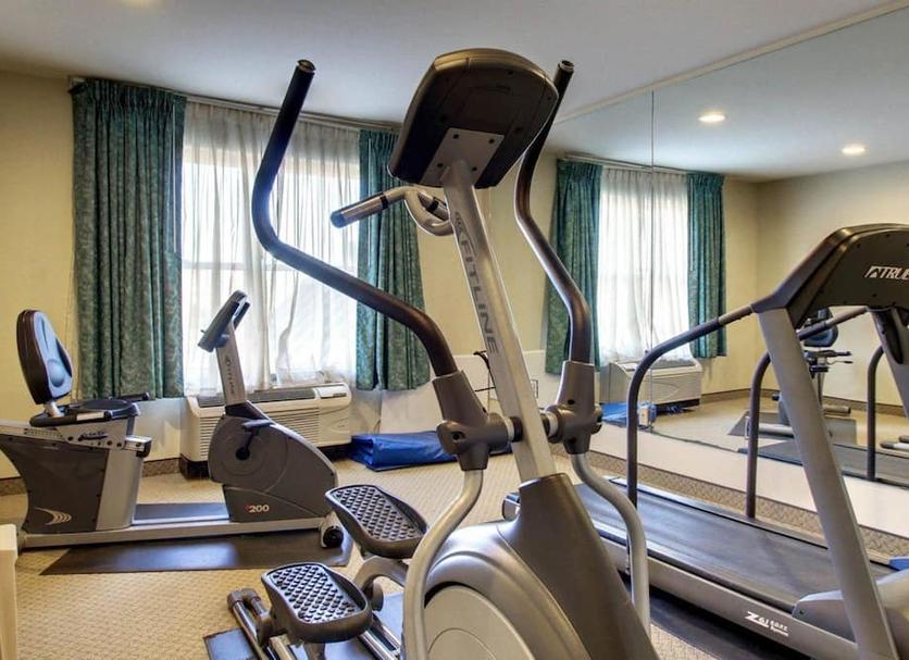 Palestra Foto