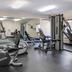 Palestra