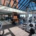 Palestra