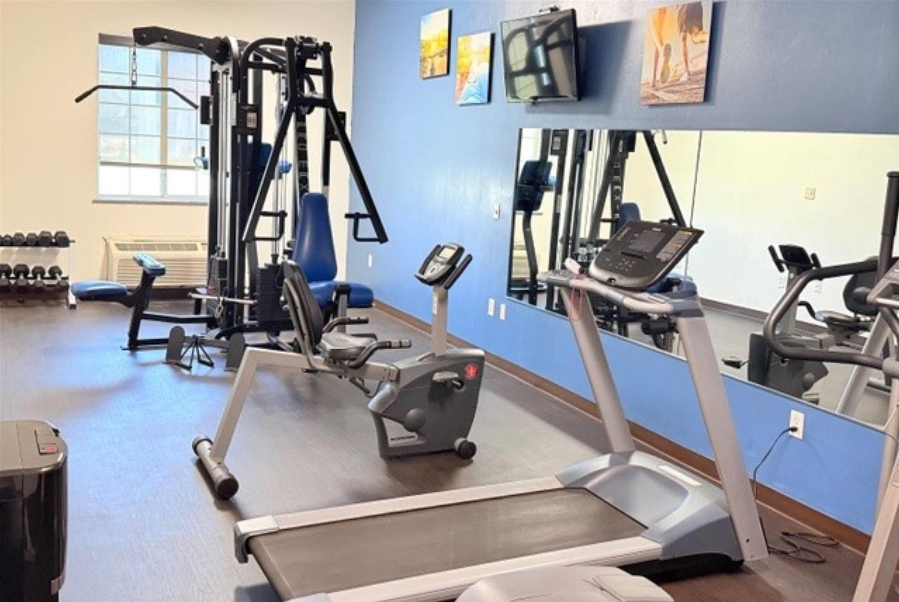 Palestra