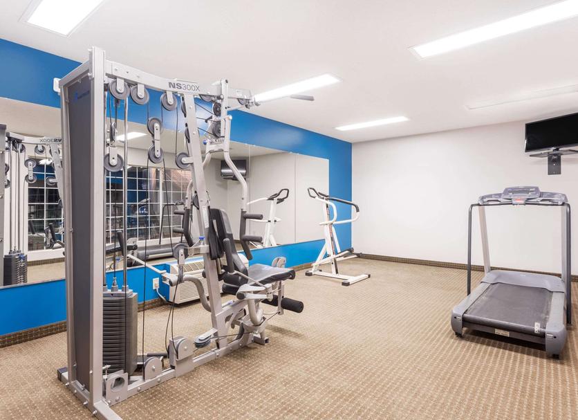Palestra Foto