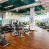 Palestra