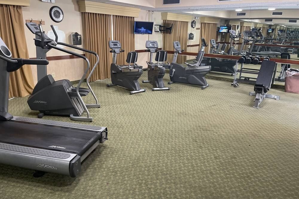 Palestra